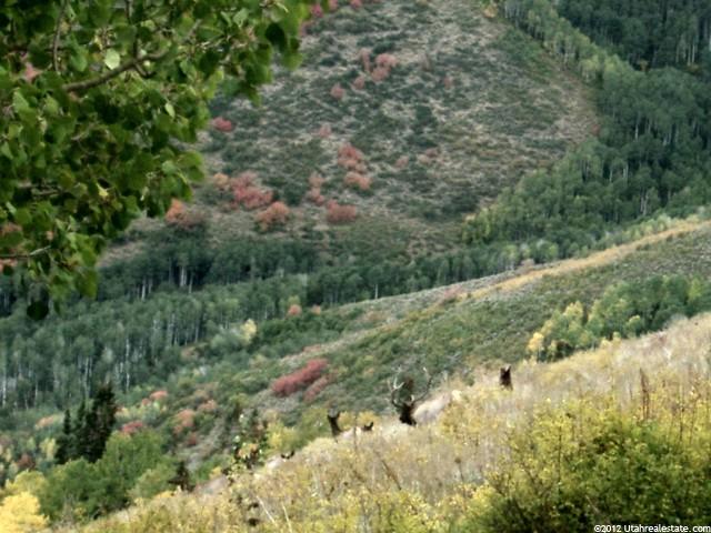 1 N Canyon, Mona, UT 84645 — photo 4