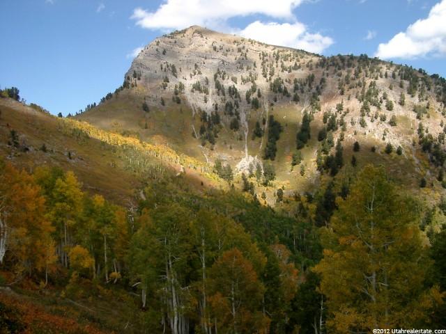 1 N Canyon, Mona, UT 84645 — photo 5