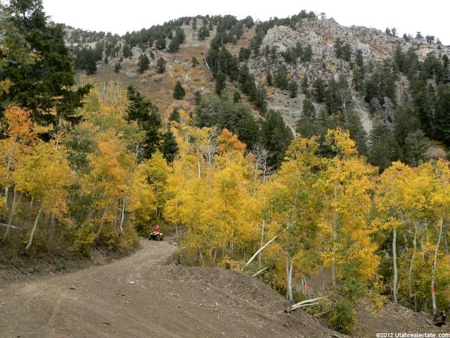 1 N Canyon, Mona, UT 84645 — photo 7