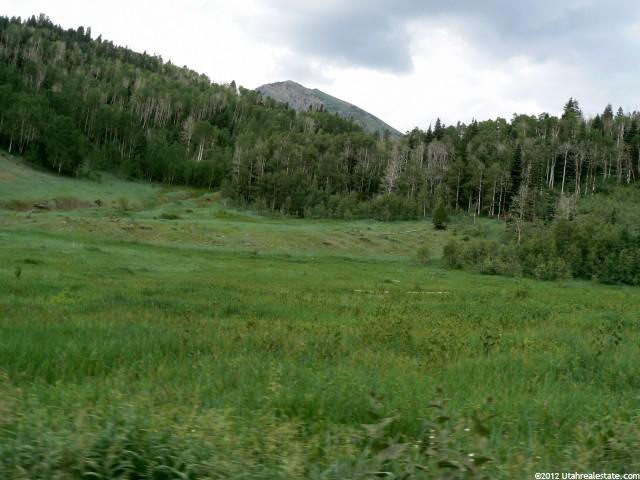1 N Canyon, Mona, UT 84645 — photo 9
