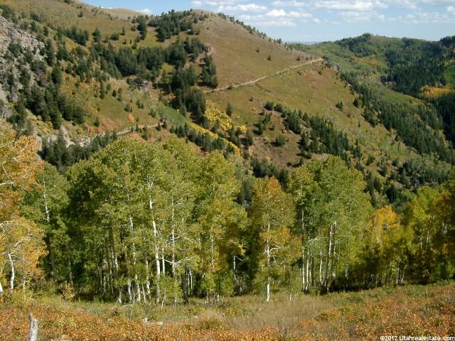 1 N Canyon, Mona, UT 84645 — photo 10