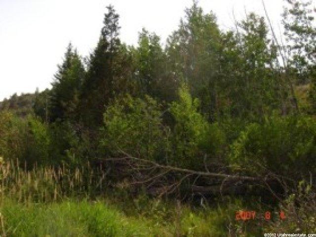 150 Red Fox Ln #150a, Woodland, UT 84036 — photo 12