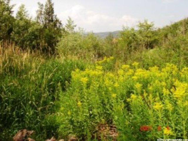 150 Red Fox Ln #150a, Woodland, UT 84036 — photo 4