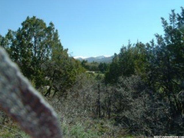 13800 N 12240 E #151, Mt Pleasant, UT 84647 — photo 2