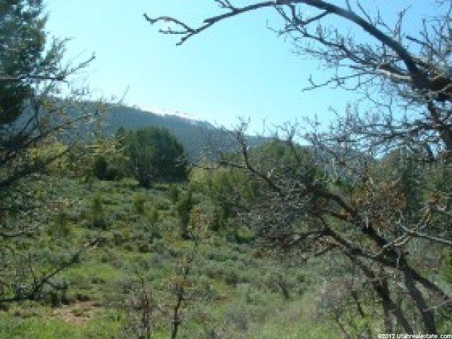 13800 N 12240 E #151, Mt Pleasant, UT 84647 — photo 3