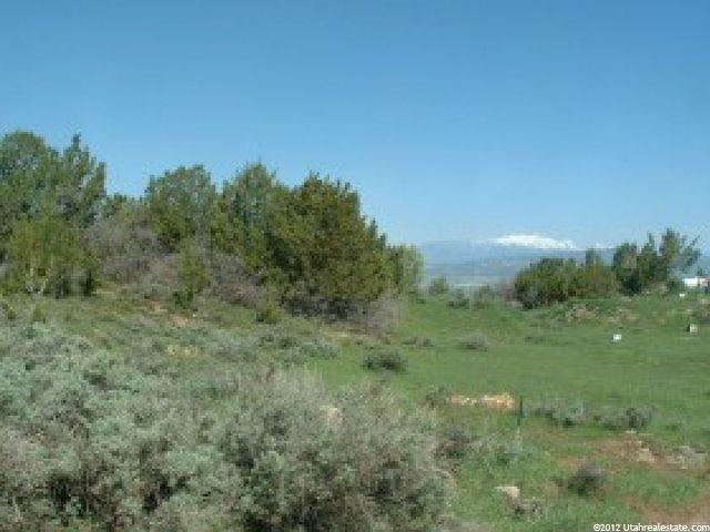 13800 N 12240 E #151, Mt Pleasant, UT 84647 — photo 5