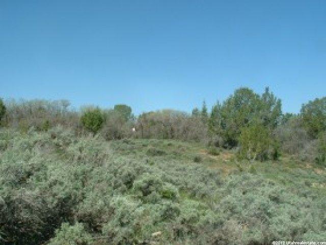 13800 N 12240 E #151, Mt Pleasant, UT 84647 — photo 6