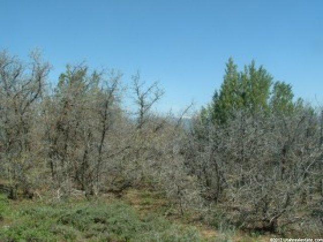 13800 N 12240 E #151, Mt Pleasant, UT 84647 — photo 7