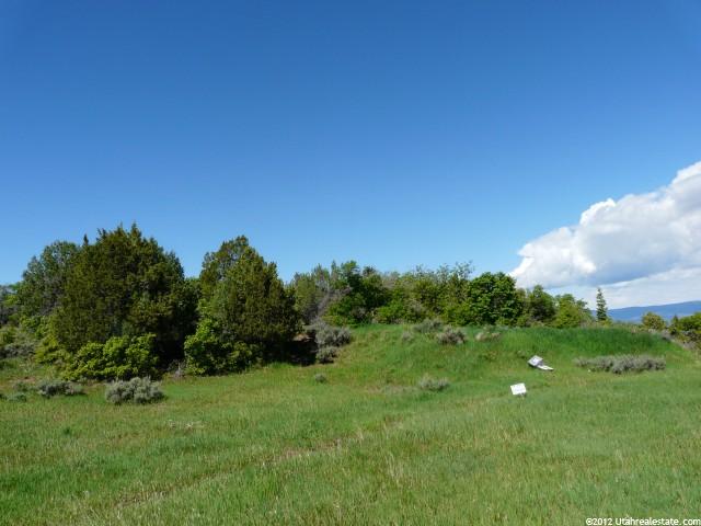 13800 N 12240 E #151, Mt Pleasant, UT 84647 — photo 8