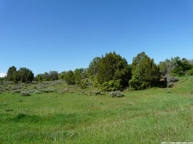 13800 N 12240 E #151, Mt Pleasant, UT 84647 — photo 9