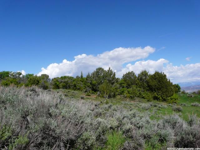 13800 N 12240 E #151, Mt Pleasant, UT 84647 — photo 10