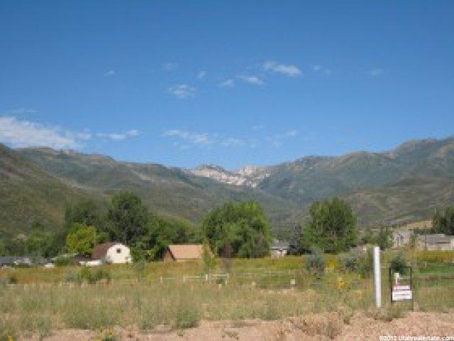 1133 Springerview Dr, Midway, UT 84049 — photo 11