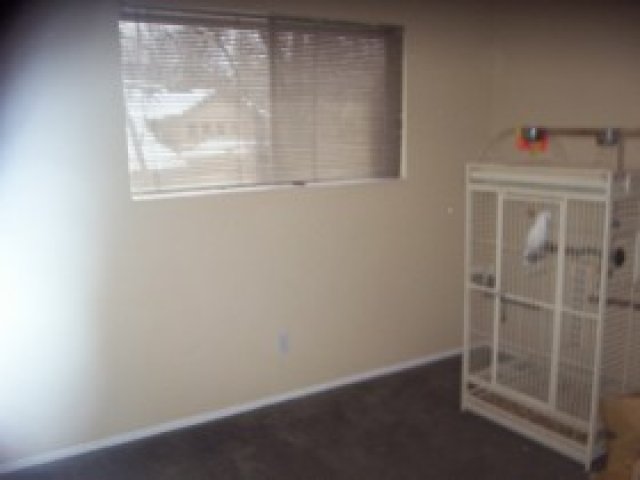 4762 S 700 E #123, Murray, UT 84107 — photo 10