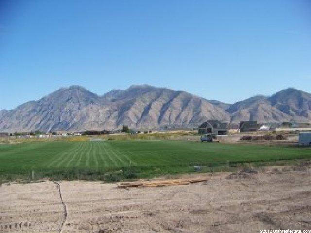 979 S Wildflower Ln W, Mapleton, UT 84664 — photo 5