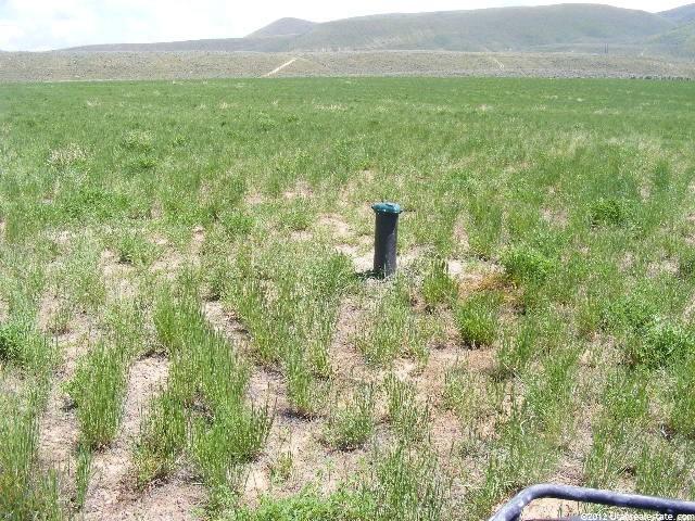 3700 E Cemetery Rd, Dingle, ID 83233 — photo 11