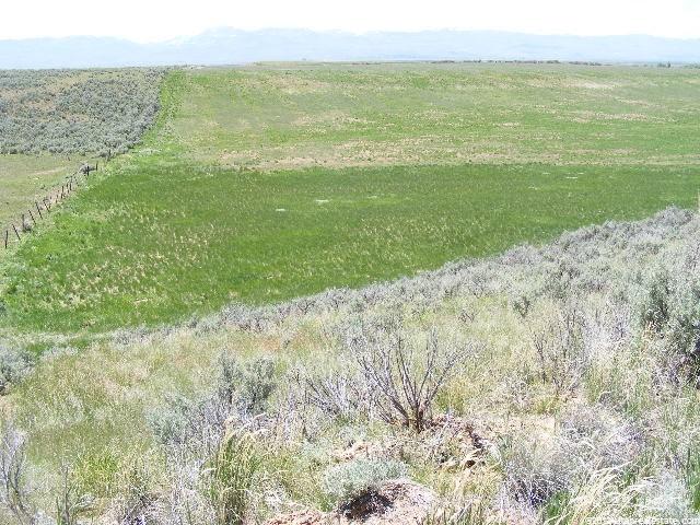 3700 E Cemetery Rd, Dingle, ID 83233 — photo 12