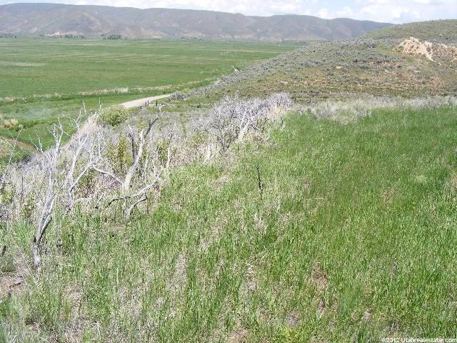 3700 E Cemetery Rd, Dingle, ID 83233 — photo 5