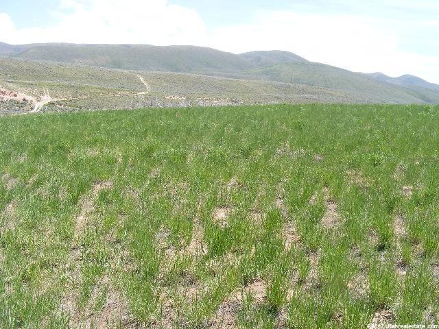 3700 E Cemetery Rd, Dingle, ID 83233 — photo 6