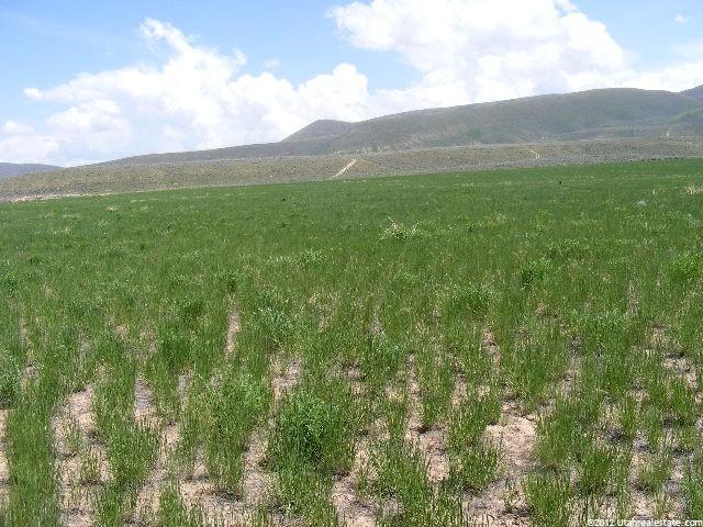3700 E Cemetery Rd, Dingle, ID 83233 — photo 10