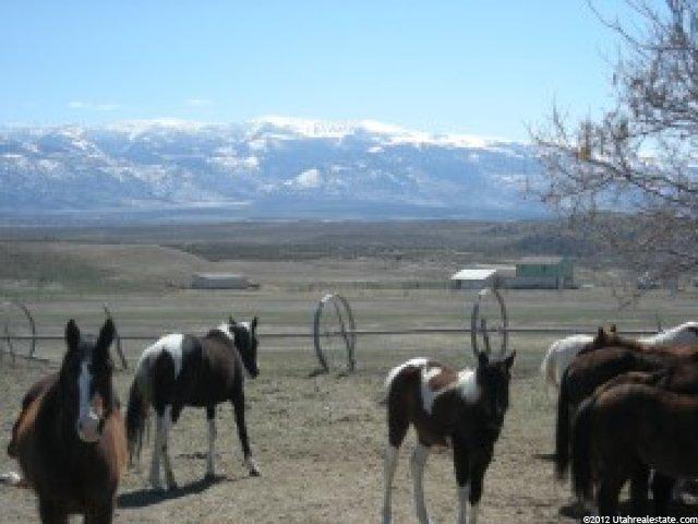 18000 N Pea Valley Rd, Moroni, UT 84646 — photo 5