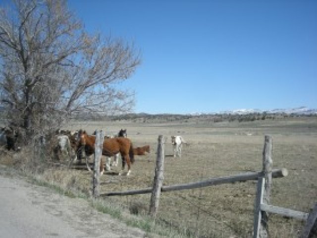 18000 N Pea Valley Rd, Moroni, UT 84646 — photo 8