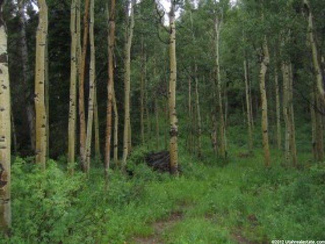 11626 E Aspen Rd #414, Timber Lakes, UT 84032 — photo 2