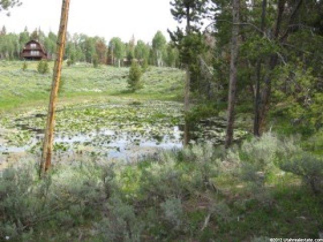16 Wilderness Acres #2, Kamas, UT 84036 — photo 3