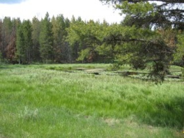 16 Wilderness Acres #2, Kamas, UT 84036 — photo 4