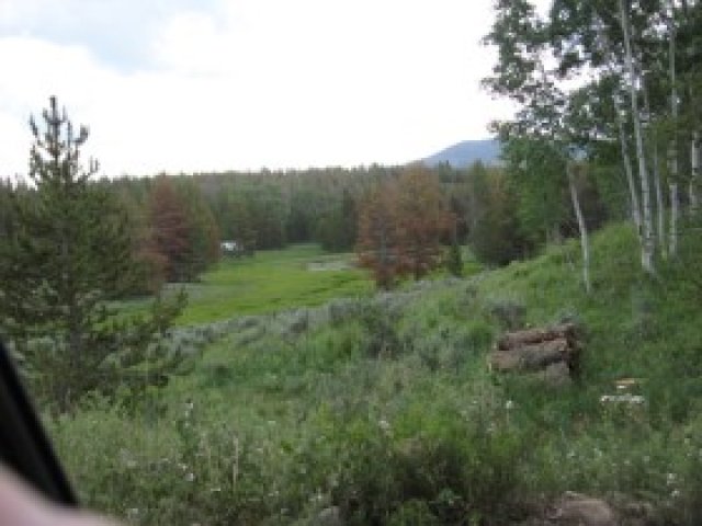 16 Wilderness Acres #2, Kamas, UT 84036 — photo 5