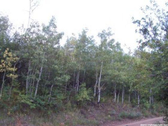15137 E Mill Rd #66, Huntsville, UT 84317 — photo 3