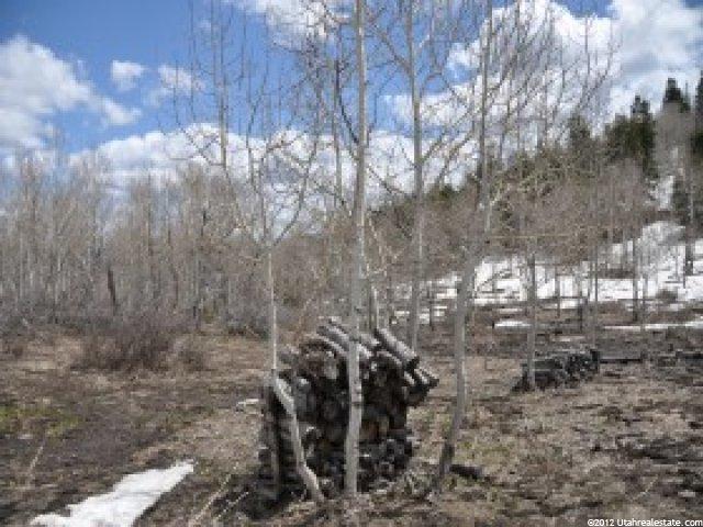 2237 S Forest Meadow Rd, Wanship, UT 84017 — photo 3