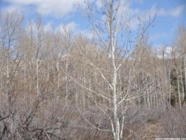 2237 S Forest Meadow Rd, Wanship, UT 84017 — photo 4