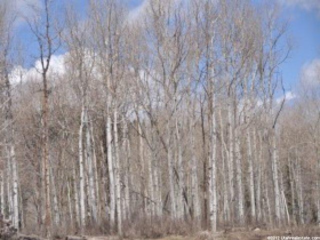 2237 S Forest Meadow Rd, Wanship, UT 84017 — photo 5