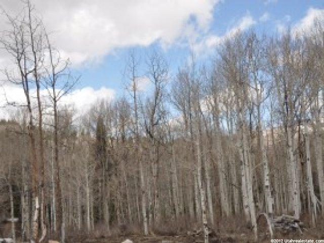 2237 S Forest Meadow Rd, Wanship, UT 84017 — photo 8