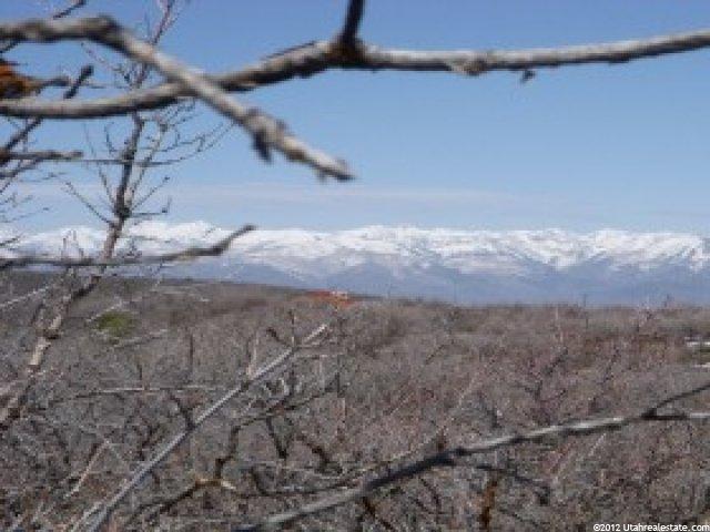 1619 S Oak Ct #313, Timber Lakes, UT 84032 — photo 2