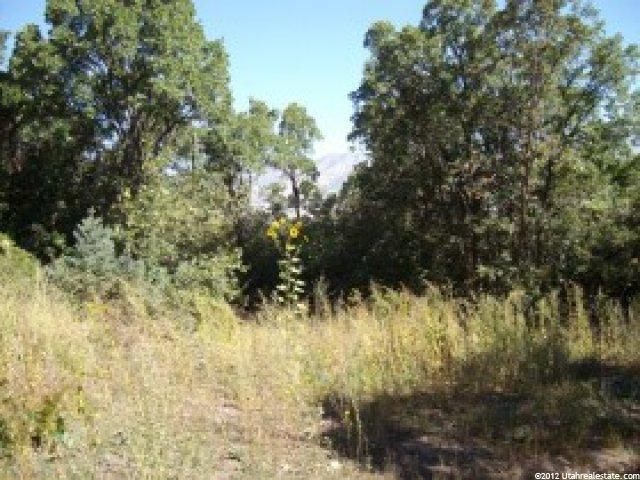 380 S 5100 E #41, Eden, UT 84310 — photo 2