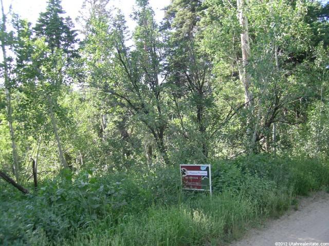 1250 Deep Forest Rd #C77, Wanship, UT 84017 — photo 2