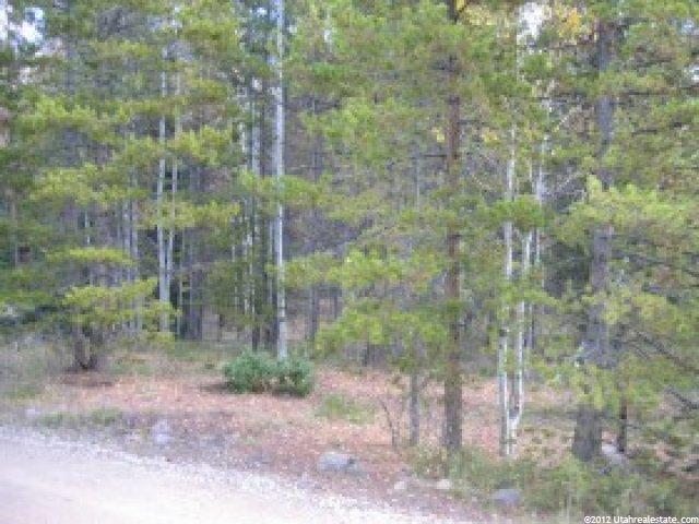 77 Mohican Rd #77, Oakley, UT 84055 — photo 5