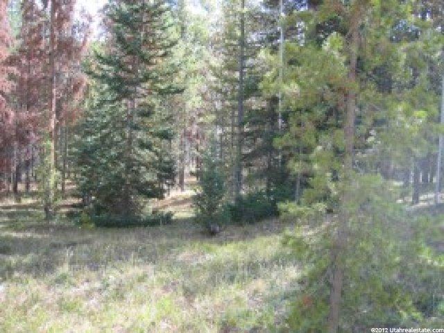77 Mohican Rd #77, Oakley, UT 84055 — photo 6
