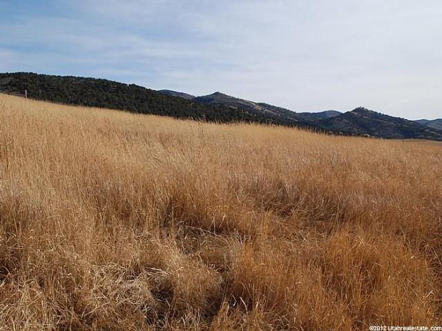 494 Spring Canyon Rd #494, Hoytsville, UT 84017 — photo 9