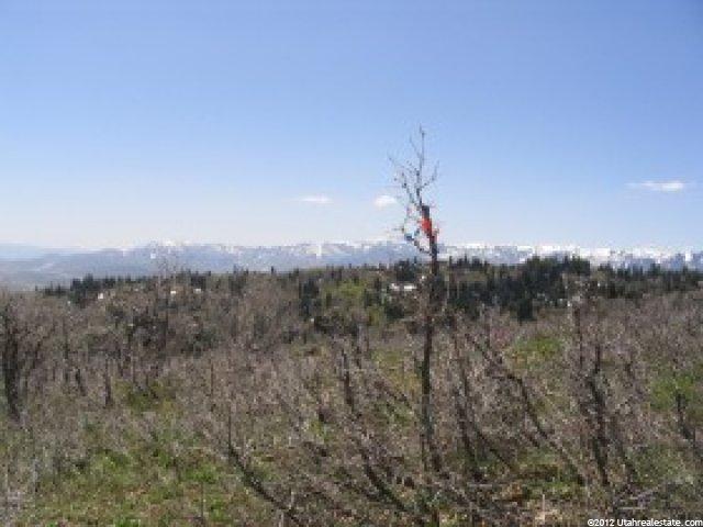 143 Tollgate Cyn #143, Wanship, UT 84017 — photo 3