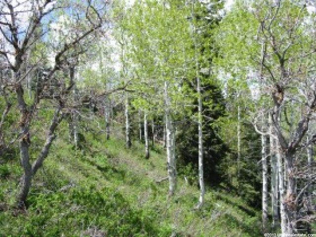 21 Red Hawk Ridge Rd #21, Park City, UT 84098 — photo 4