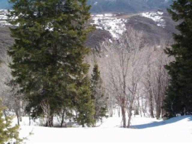 21 Red Hawk Ridge Rd #21, Park City, UT 84098 — photo 8