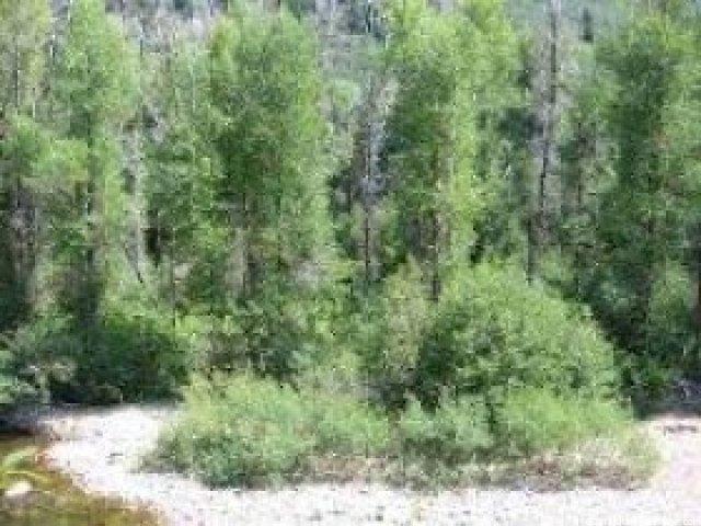 202 Peacock Rd #202, Oakley, UT 84055 — photo 3