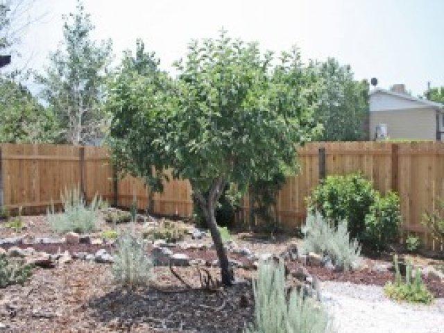 9576 S 835 E, Sandy, UT 84094 — photo 11