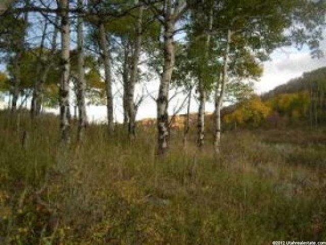 128 E Westwood Rd, Summit County, UT 84098 — photo 5