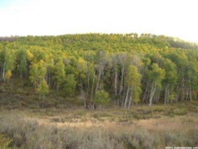 128 E Westwood Rd, Summit County, UT 84098 — photo 6
