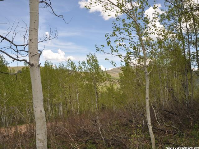 2425 Valley View Cir #D-13, Wanship, UT 84017 — photo 4