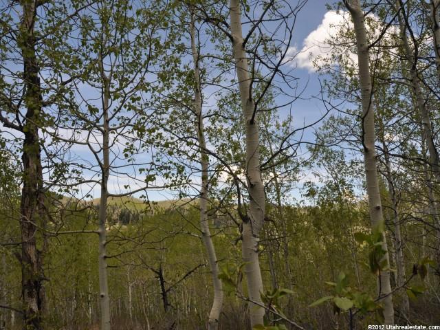 2425 Valley View Cir #D-13, Wanship, UT 84017 — photo 6
