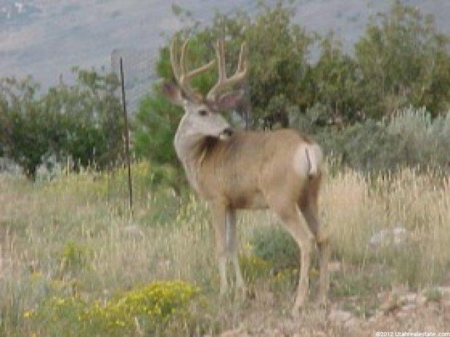 266 N Sage E #266, Wanship, UT 84061 — photo 2